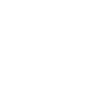 panel solar 29